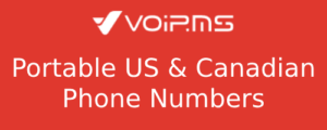 Virtual phone numbers for individuals and businesses